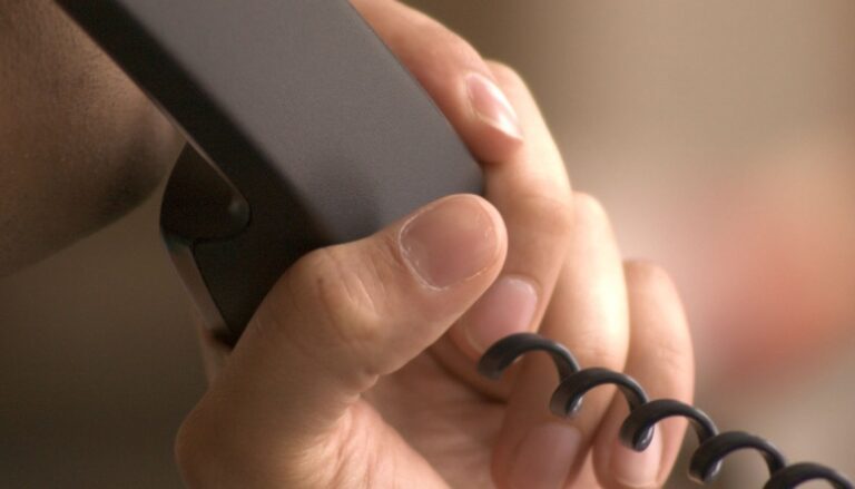 persistent-but-not-pest-900×444