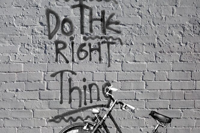 brick-white-wall-900×444