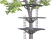 Tree with ladders and platforms