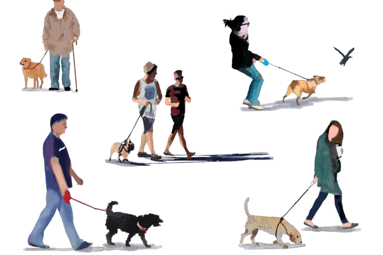 Illustration of five single people and one couple walking their dogs